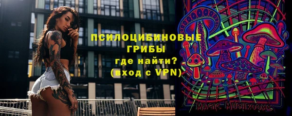 мдпв Ростов